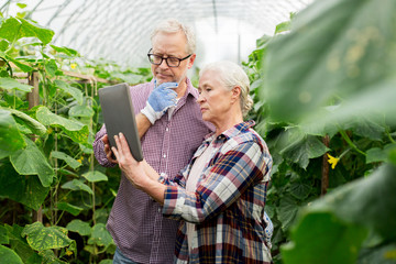 Fototapeta premium senior couple with tablet pc at farm greenhouse