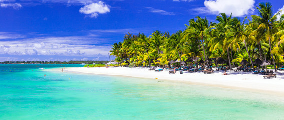 Fototapeta Perfect tropical white sandy beach with turquoise sea. Mauritius obraz