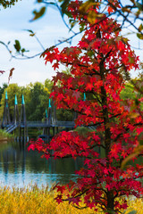 Herbst