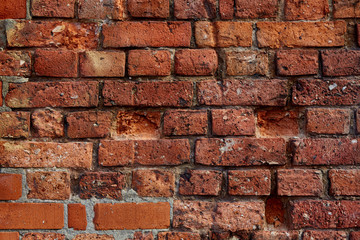 100 years old brick wall that gives you a great background