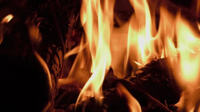 Rose Burning in a Fireplace
