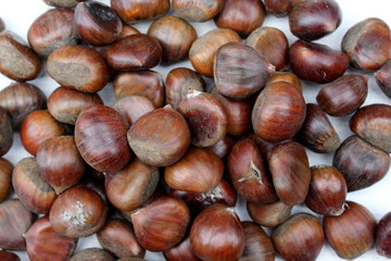 chestnuts