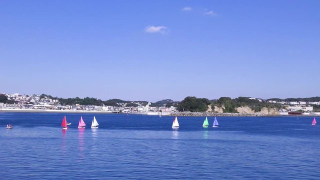 江ノ島の海でのセーリング競技