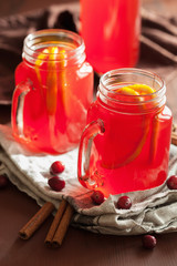 hot cranberry tea with orange cinnamon warming drink