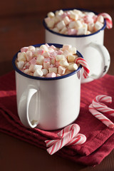 hot chocolate with mini marshmallow candy cane