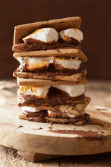 homemade marshmallow s'mores with chocolate on crackers