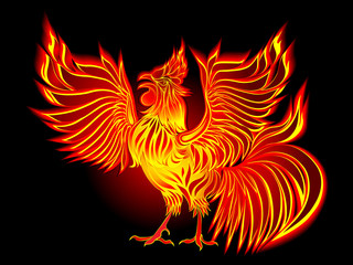 Vector fire cock by New year 2017 - symbol of the Chinese New Year. Black background.