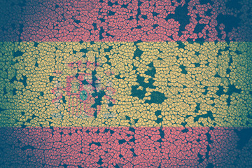 spanish flag