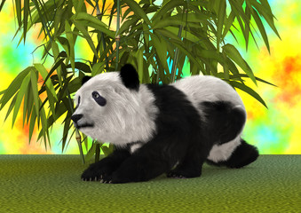 3D Rendering Panda Bear