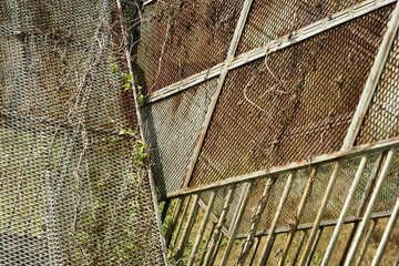 overgrown rusty old wire fence background