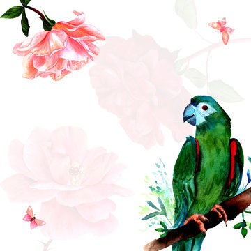 Greeting card template with watercolor bird, rose, butterflies