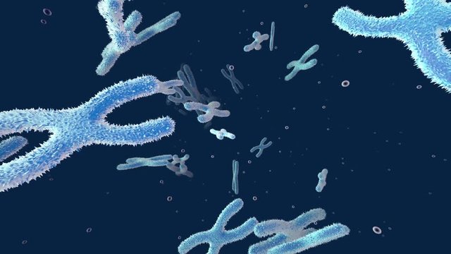 3D rendered Animation of floating Chromosomes.