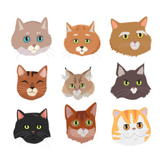 Set of Cat s Faces Vector Flat Design Illustration