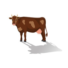 Cow isolated on a white background. Vector flat ilustration
