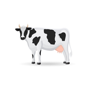 Cow isolated on a white background. Vector flat ilustration