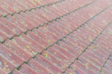 Nahaufnahme,     Moos auf roten Dachpfannen 

