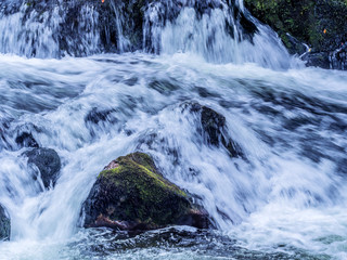 Bach mit fliessendem, klarem Wasser