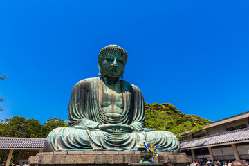 Naklejka premium The Great Buddha in Kamakura Japan. Located in Kamakura, Kanagawa Prefecture Japan.