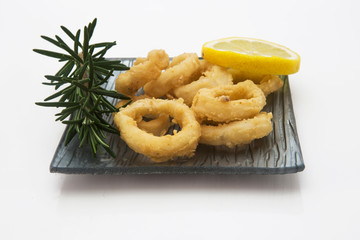 calamari a rondella fritti su fondale bianco 