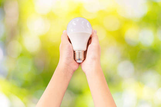 Closeup LED lighting bulb in hands with the colorful green nature background, Concept for energy saving.