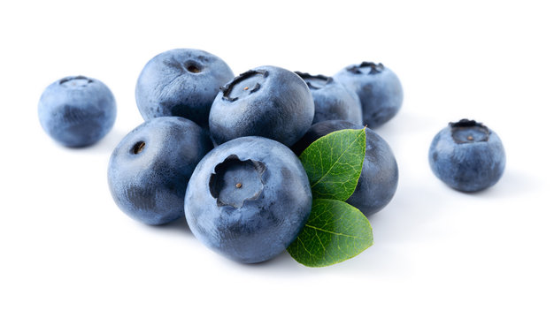 Blueberry Изображения: просматривайте стоковые фотографии, векторные ...