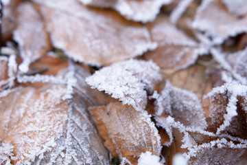 Winterlandschaft