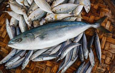 Fototapeta premium Fresh tuna fish in market. Seafood background.