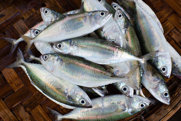 Fototapeta premium Fresh raw fish in market. Seafood background.