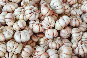 Garlic. Organic vegetable. Food background.