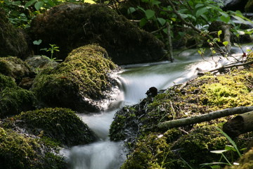 Bach mit fließendem Wasser 