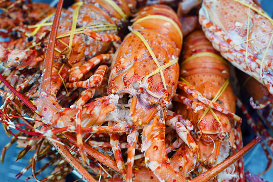 Lobster. Food background.