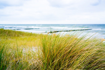Fototapeta na wymiar Beach with grass