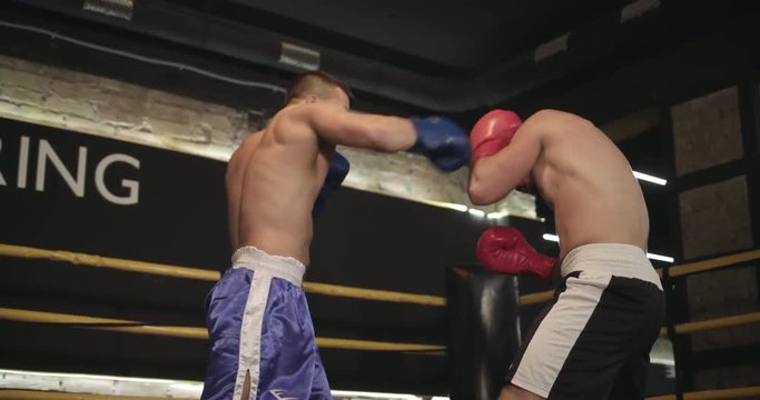 Two boxers training in boxing ring 4k video. Fighters sparring technique: practices punches and defense in combat sport. Fight attack series