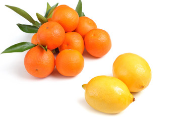 Two lemons and oranges on white background