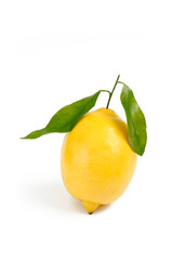 lemon on white backdrop