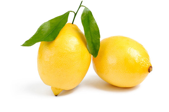 Two lemons with leafs on white