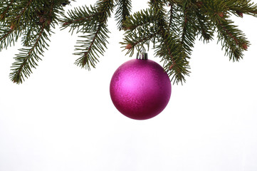 Fototapeta na wymiar Christmas tree with purple balls isolated on white background