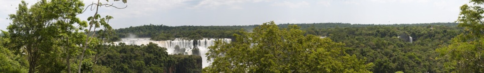 Iguazu, 13/11/2010: la vegetazione con vista panoramica delle Cascate di Iguazu, generate dal fiume Iguazu al confine tra la provincia argentina di Misiones e lo Stato brasiliano del Paraná