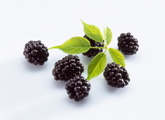 Pile of blackberries