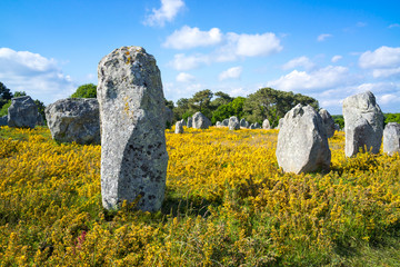Megalithic alignments of rows of standing stones monuments in Br