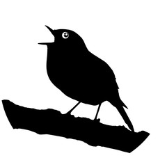 Singing bird