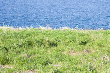 North Irish landscape with grazing in the foreground (Ireland)
