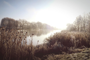 Fototapeta premium rime frost landscape at Havel river (Brandenburg - Germany)