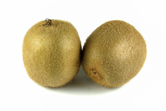 Close up macro kiwi fruit isolated on white background