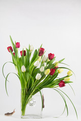 Tulip arrangement with leopard slugs added