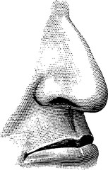 Naklejka premium Vintage image nose, lips