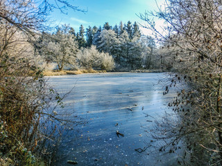 Herrmannsee zugefroren