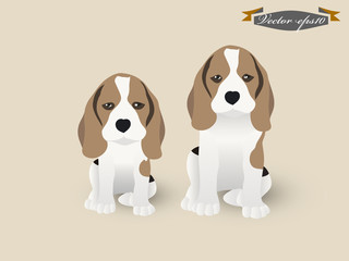 illustration design vector of beagle and beagle puppy dog
