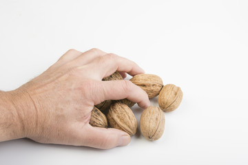 the nut on the hand