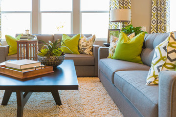 Beautiful Living Area with Coffee Table and Couch of New Home.